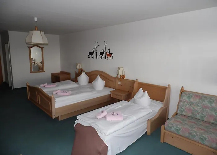 Berggasthof&hotel Kranich, Hinterrod Eisfeld