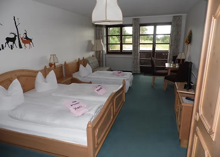 Hotel Berggasthof & Hotel Kranich, Hinterrod 3*