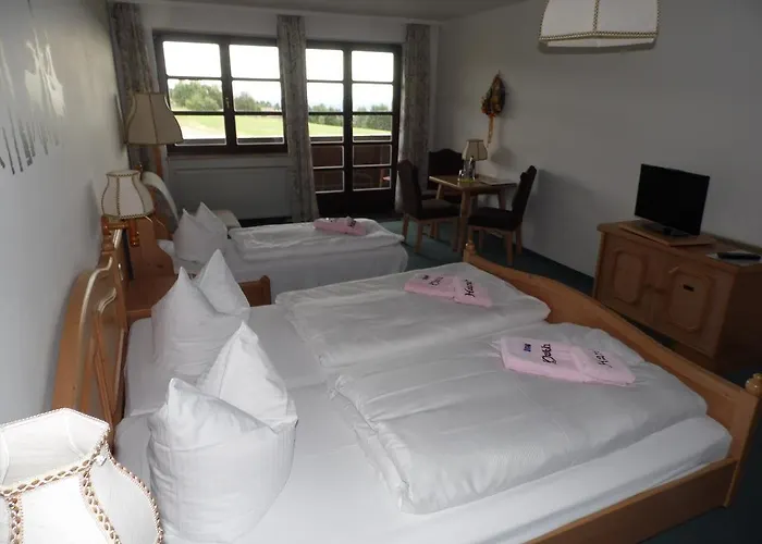 Hotel Berggasthof & Hotel Kranich, Hinterrod Eisfeld