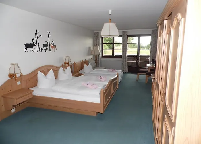 Hotel Berggasthof&hotel Kranich, Hinterrod 3*